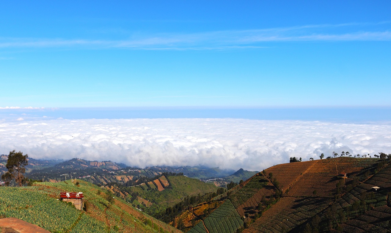 火柴人联盟2:娱乐场平台现金开户