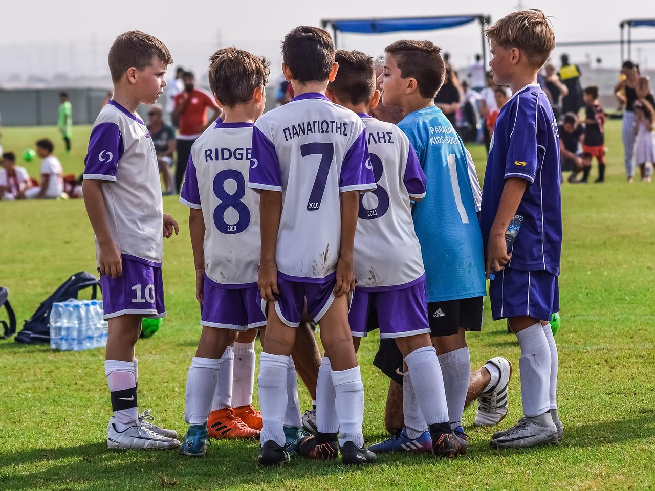 中免555水蜜桃双爆珠：网络平台代理怎么取消