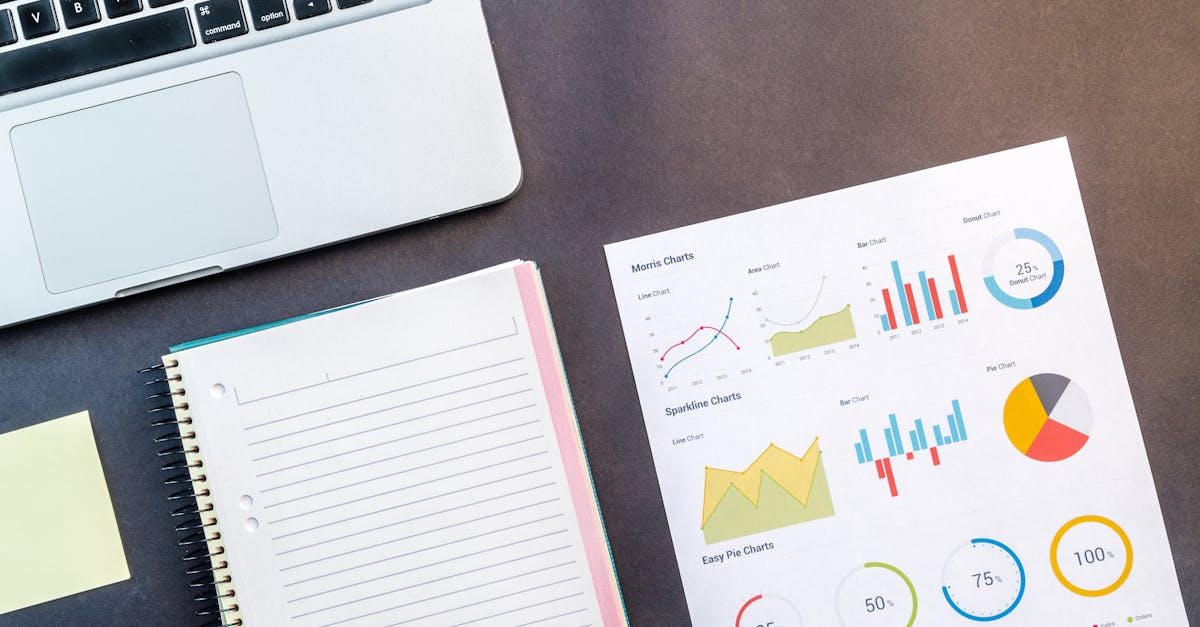 Mond梦都橙子：东胜代理注册