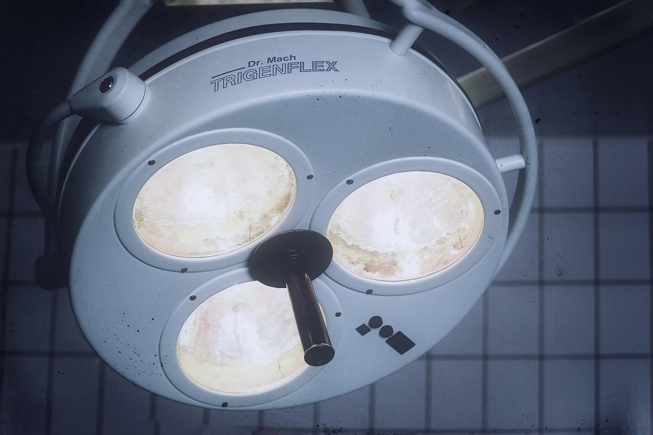 猫之宿约者：静安区代理记账注册机构