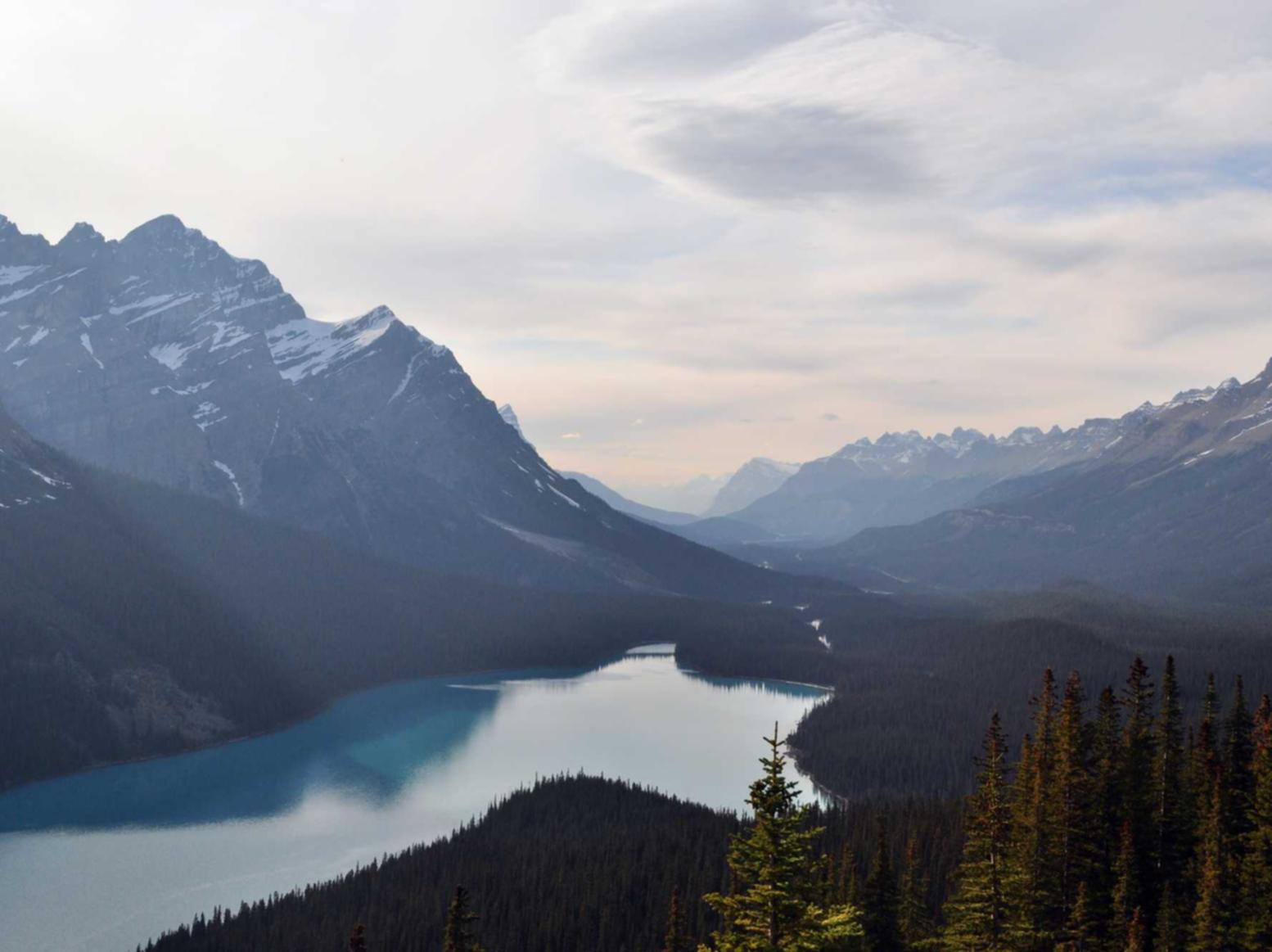 详情下载教程冀云威县app