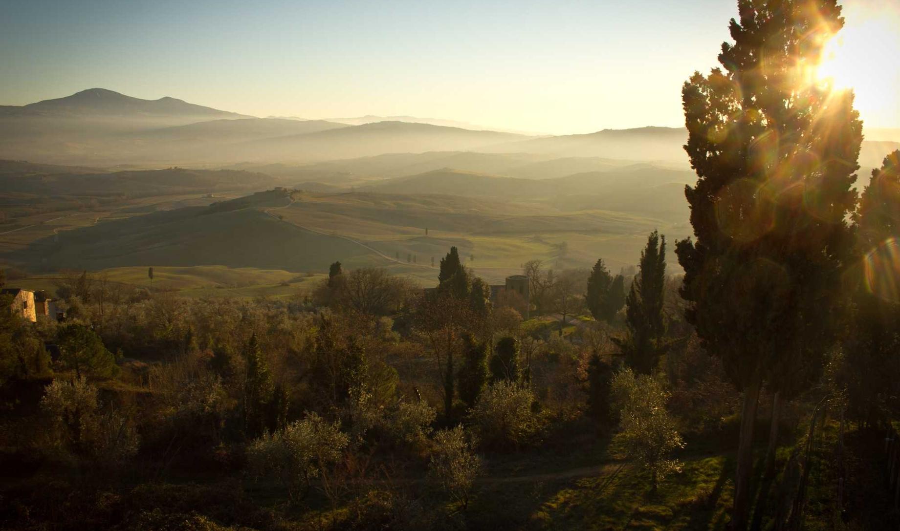 如何制定技术支持辅助禁止和惩罚法规