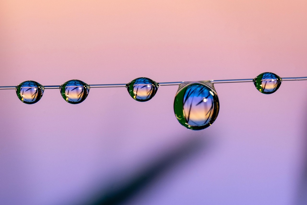 新征途：美团app详情下载教程